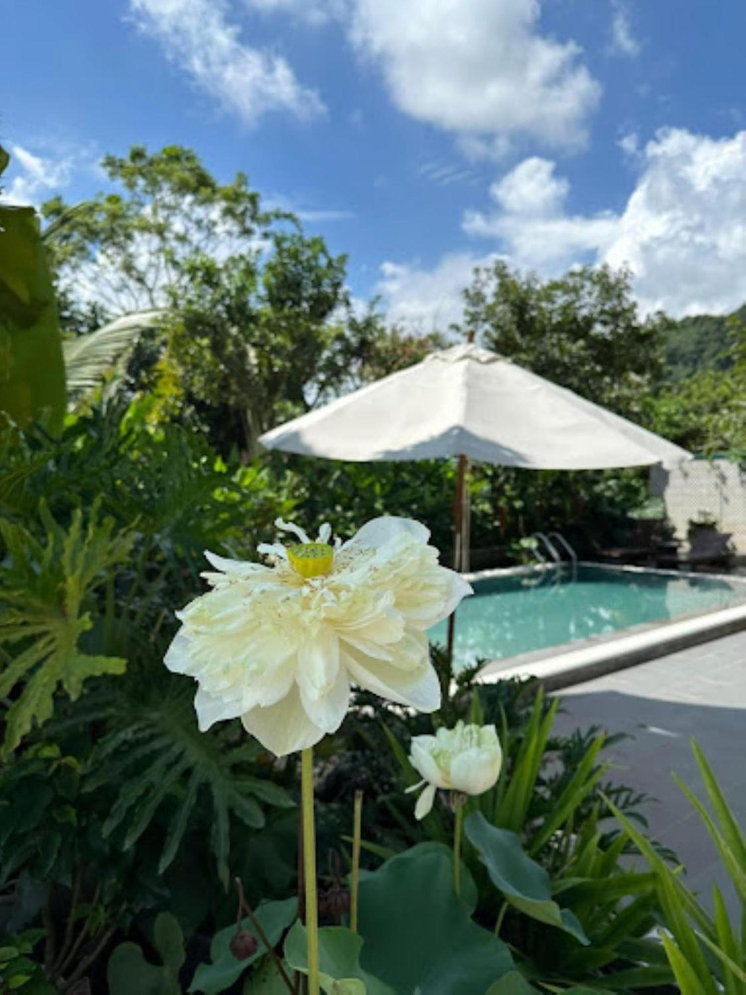 Appartamento Giang House Hòa Bình Esterno foto